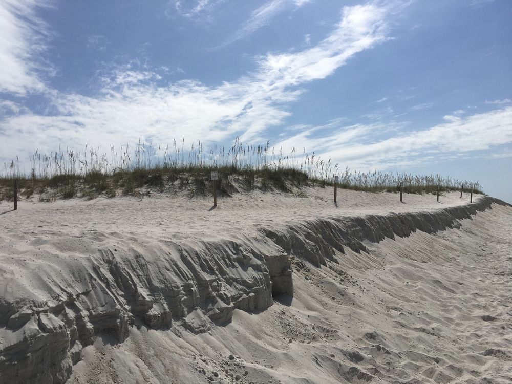 Sand dunes of St. Andrews State Park