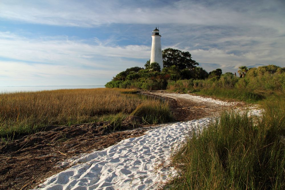 View of the St. Marks National Wildlife Refuge lighthouse