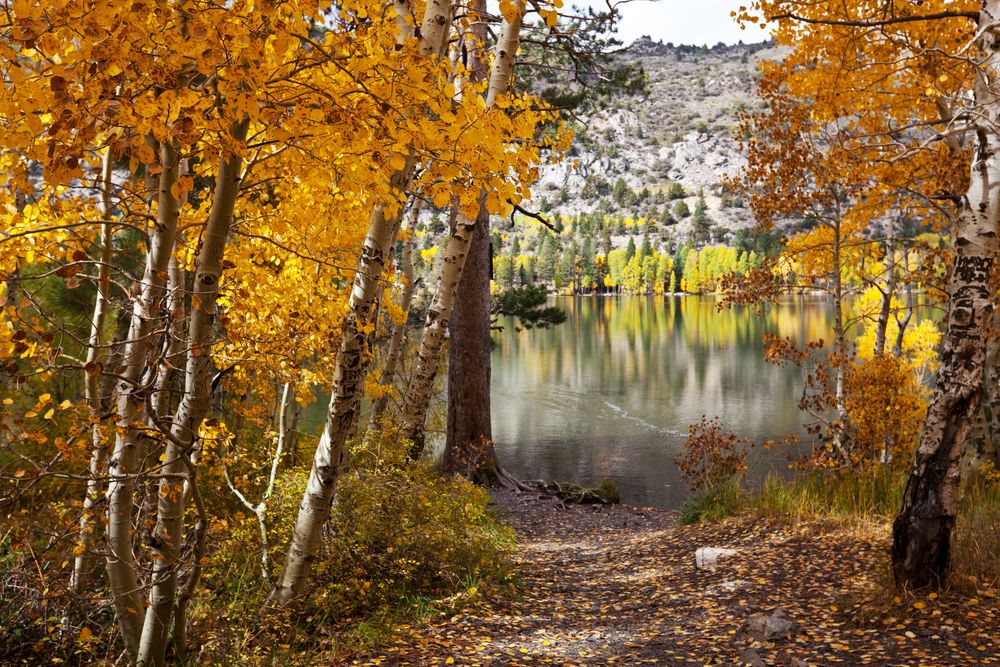 Fall in Mammoth