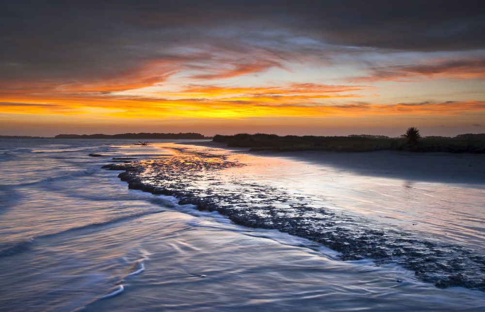 Waves in Folly Beach