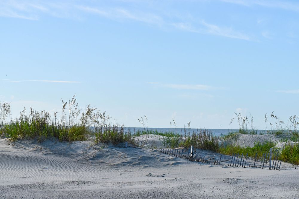 Sand dunes at Folly Beach County Park