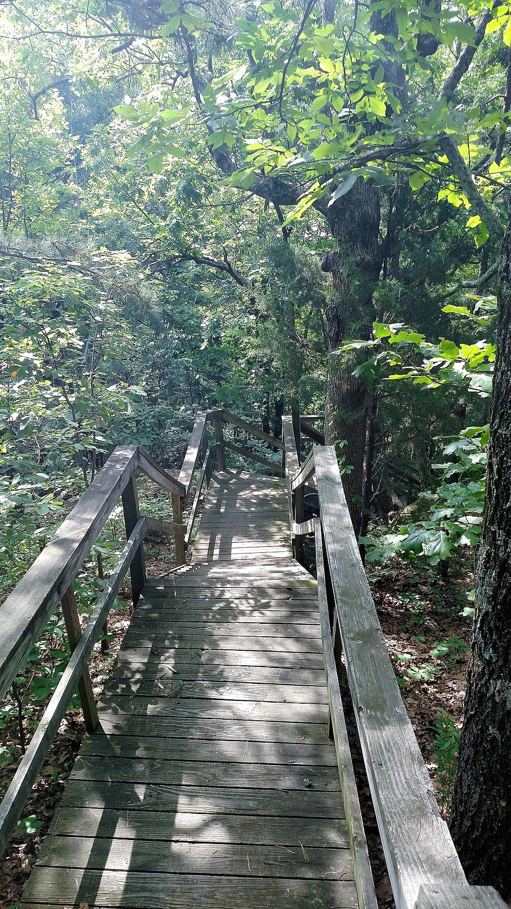 A wooden boardwalk at Indian Rock Cave Trail