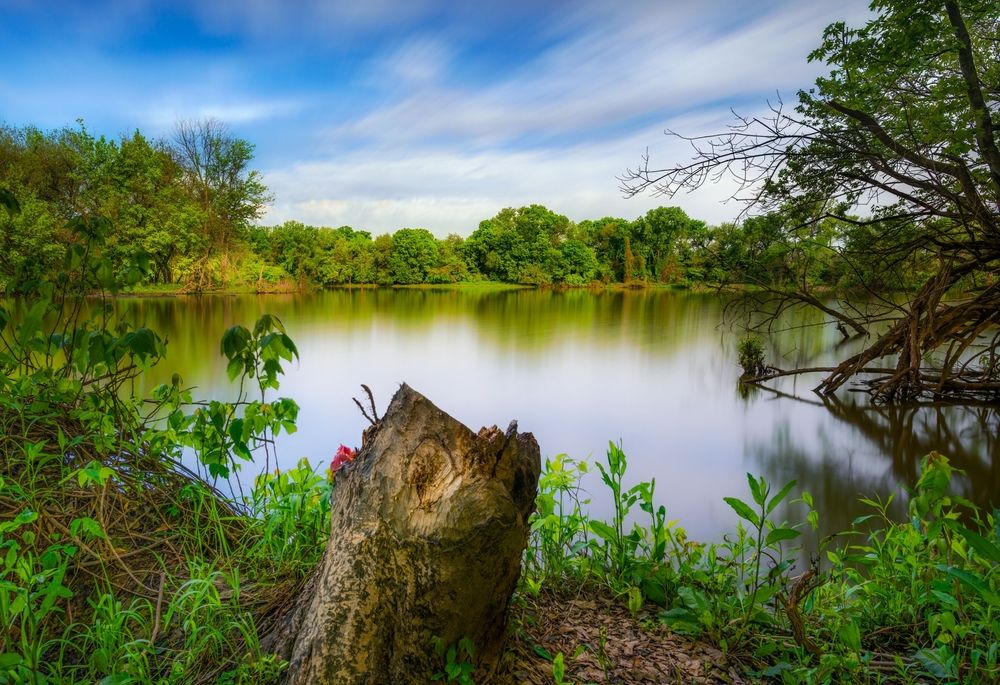 Scenic view at Loop Island Wetlands