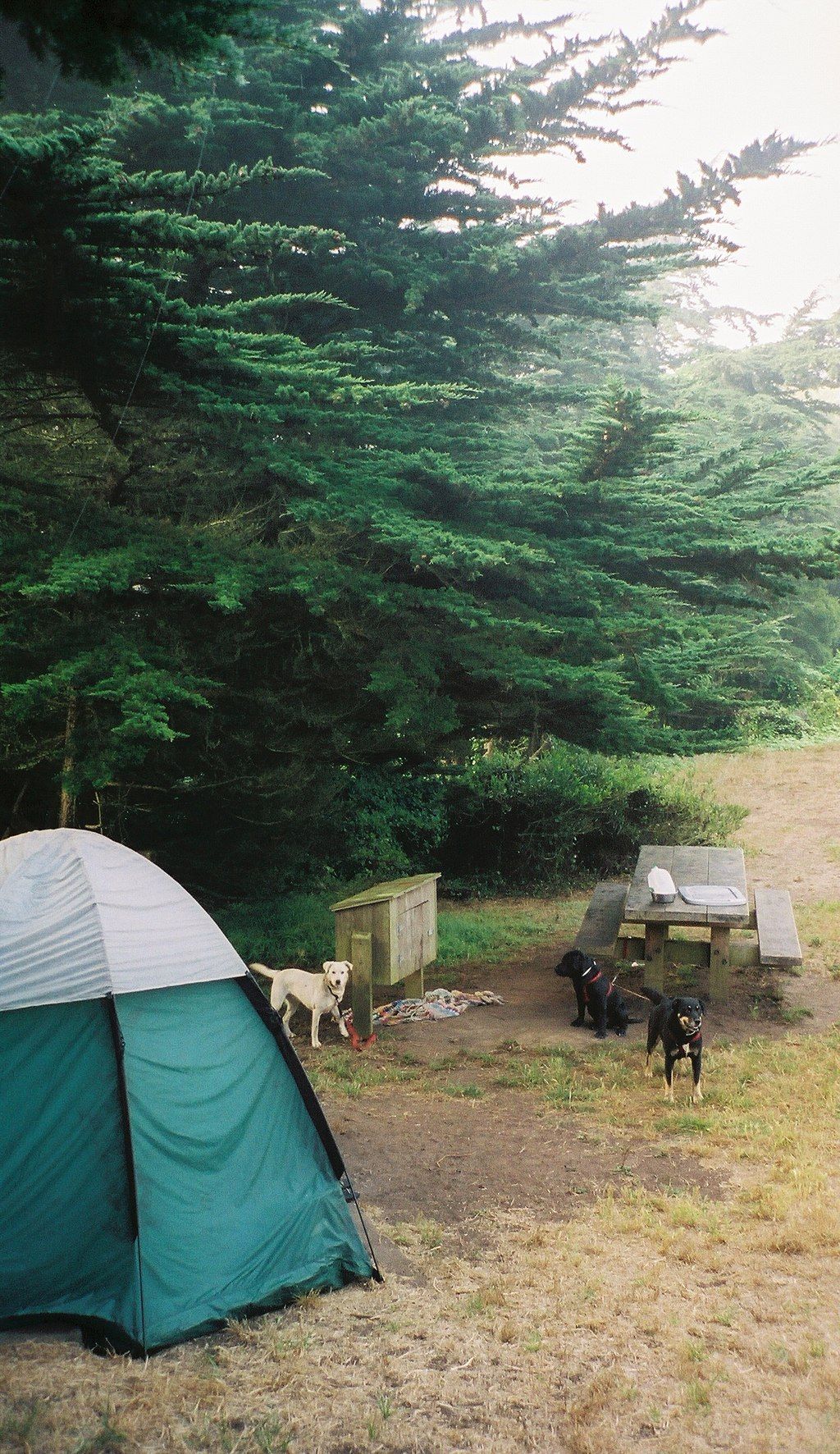 A tent at Bicentennial Campground