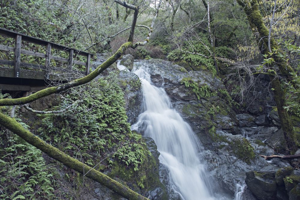 Waterfalls at Cascade Canyon Preserve