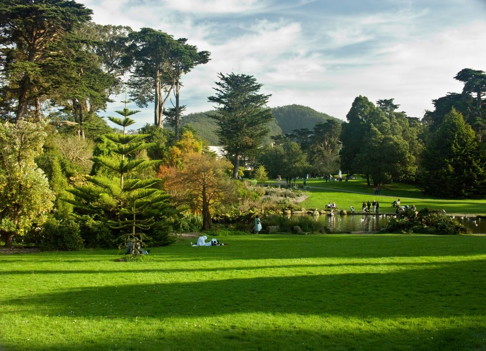 Beautiful landscape of Golden Gate Park