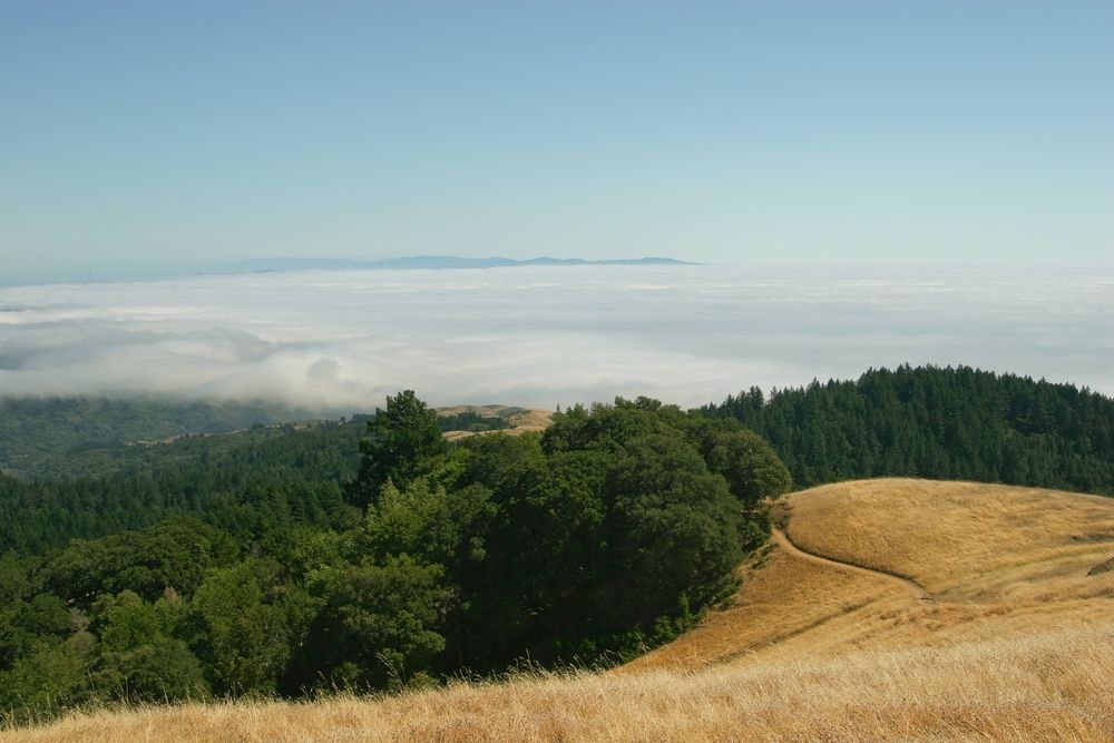 View from Mount Tamalpais Watershed's summit