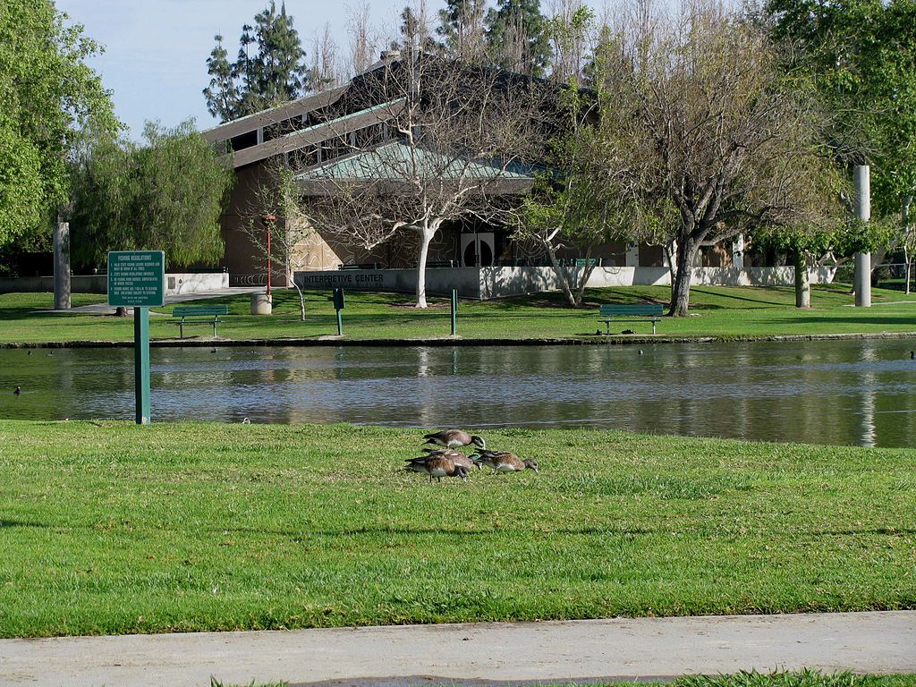 A pond at Ralph B. Clark Regional Park