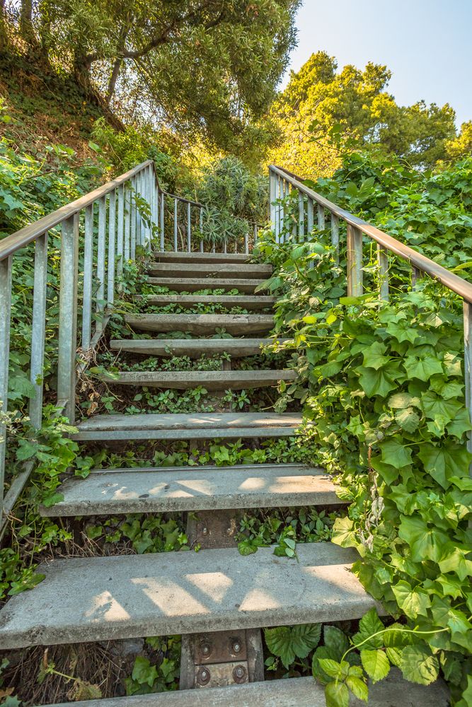 Stairs of Filbert Steps