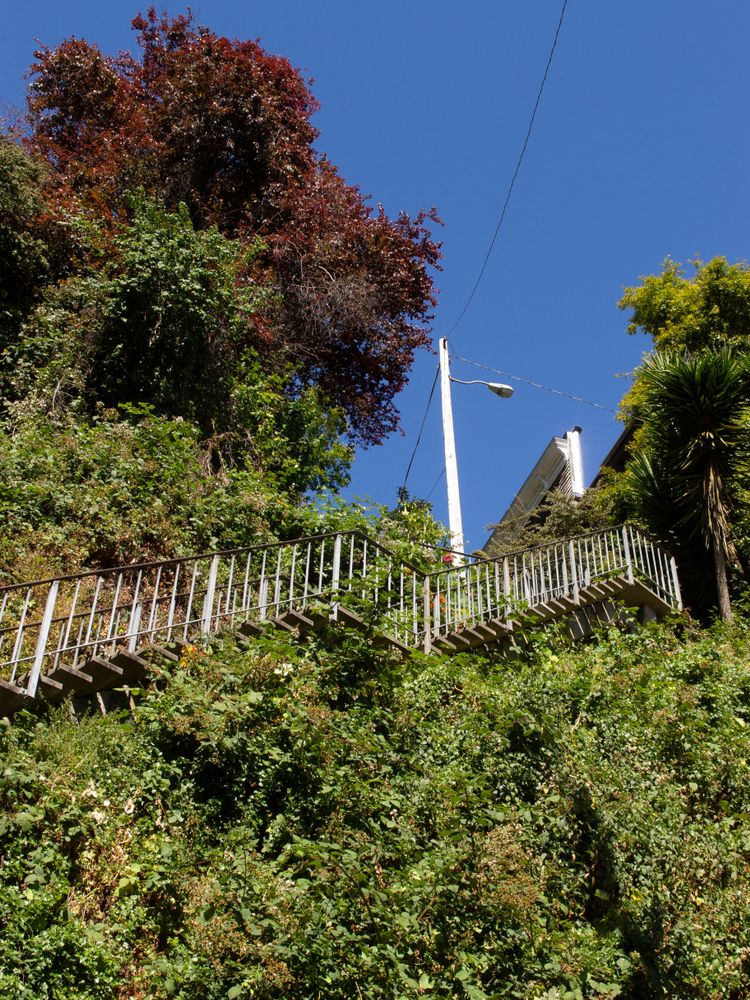 Side view of Filbert Steps staircase