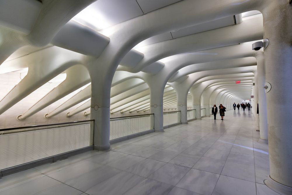 People walking in the Oculus Center