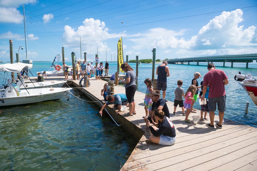 People at Robbie’s Marina