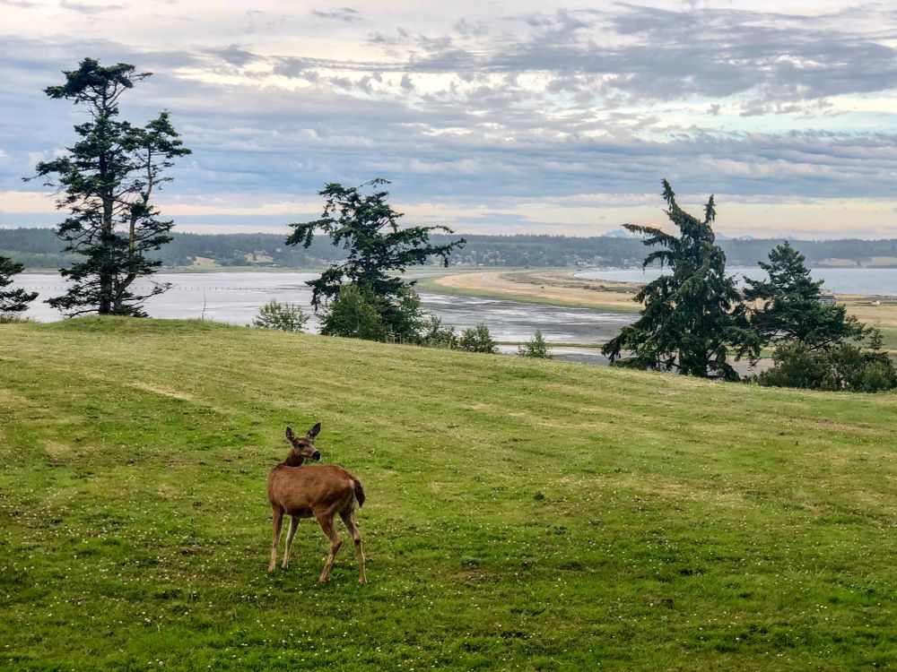 View of Fort Casey