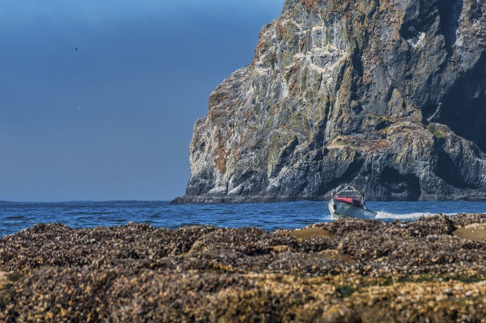 View of a Boat in Haystack Fishing