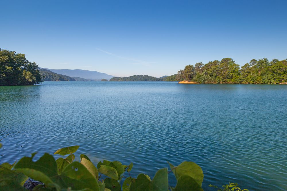 The waters of South Holston Lake