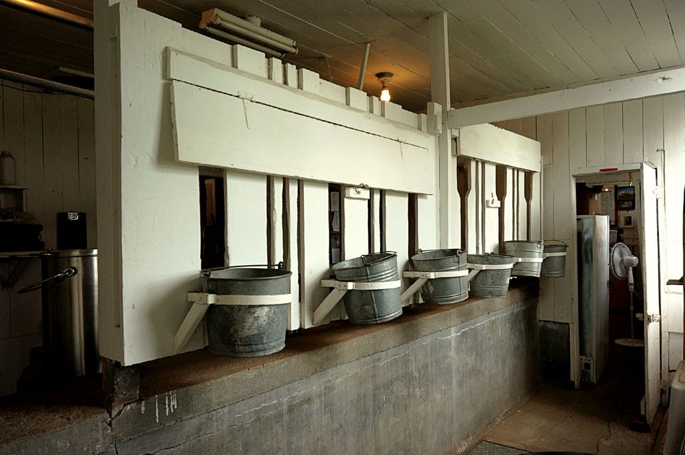 Milk pails inside Connemara Farms' barn