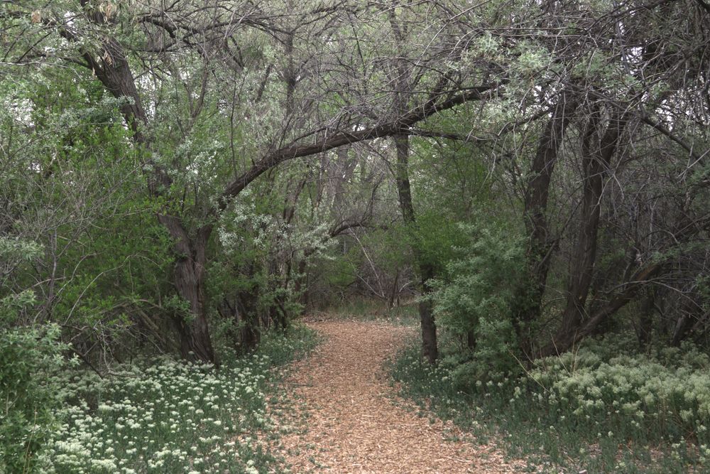 Trail at Riverside Nature Center