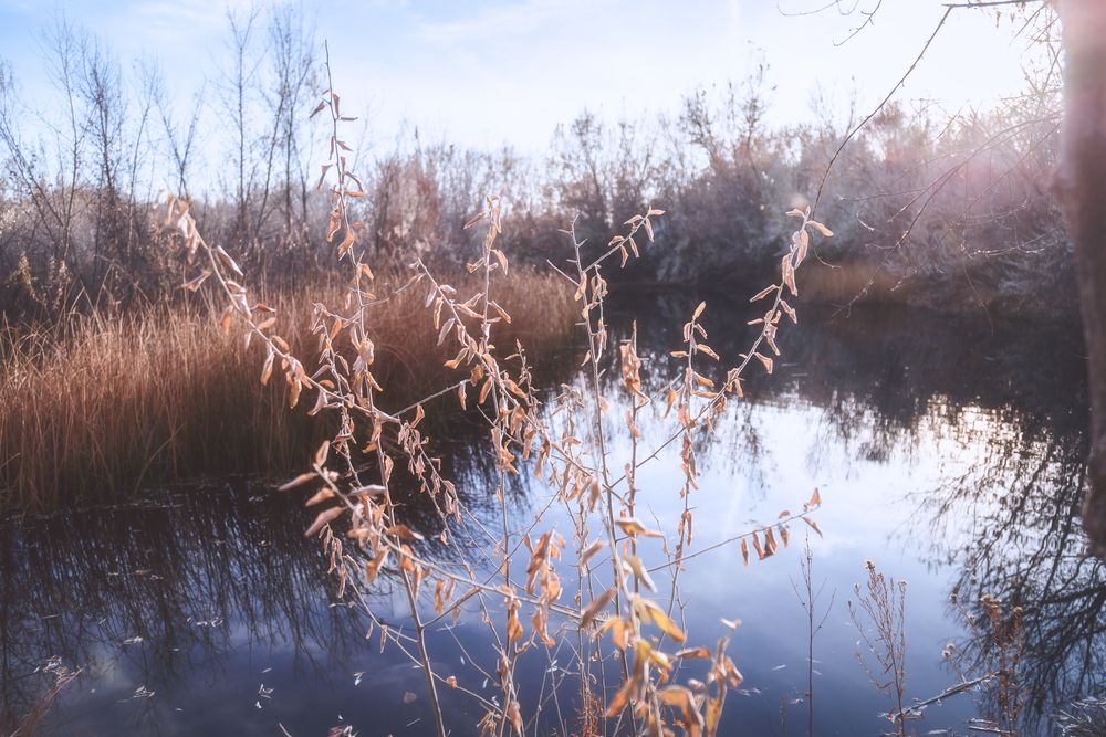 The waters of Riverside Nature Center