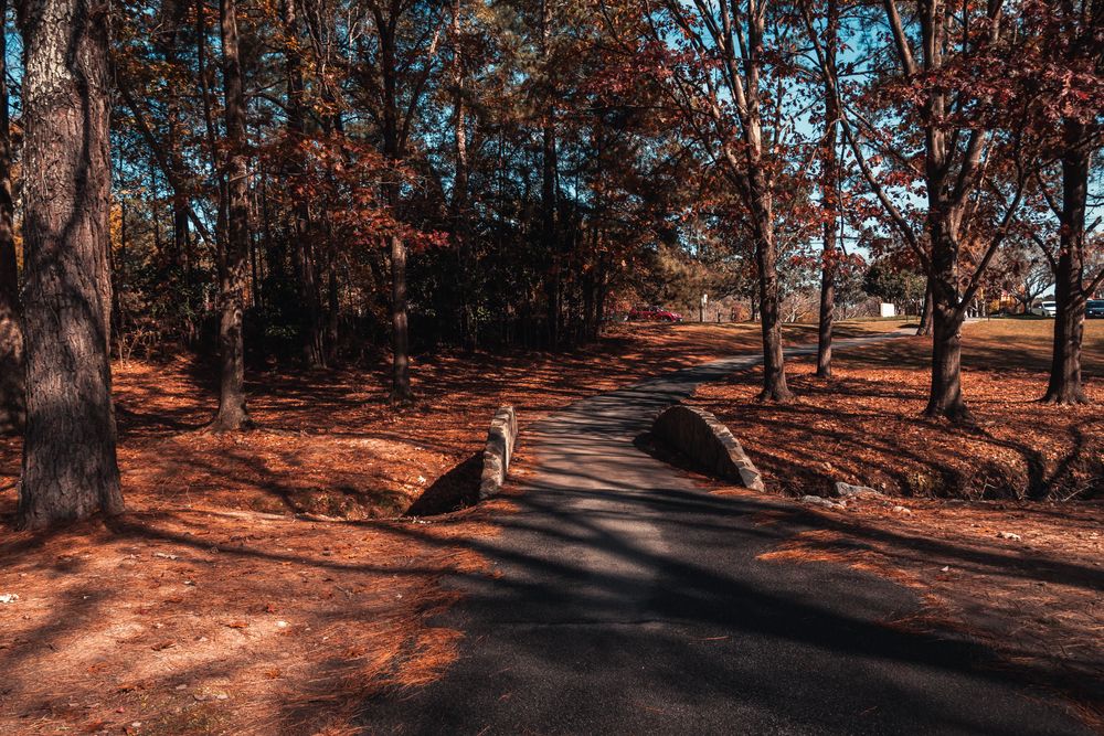 View of Golf Cart Path
