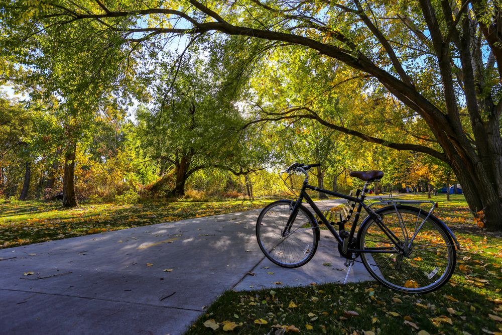 View of Boise River Greenbelt