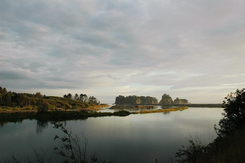 Scenic view of the still body of water and green trees at quillayute river.