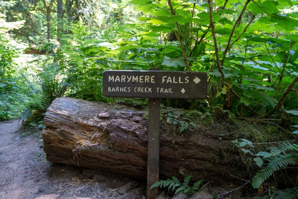A tree log lying at the back of the wooden direction sign for barnes creek trail.