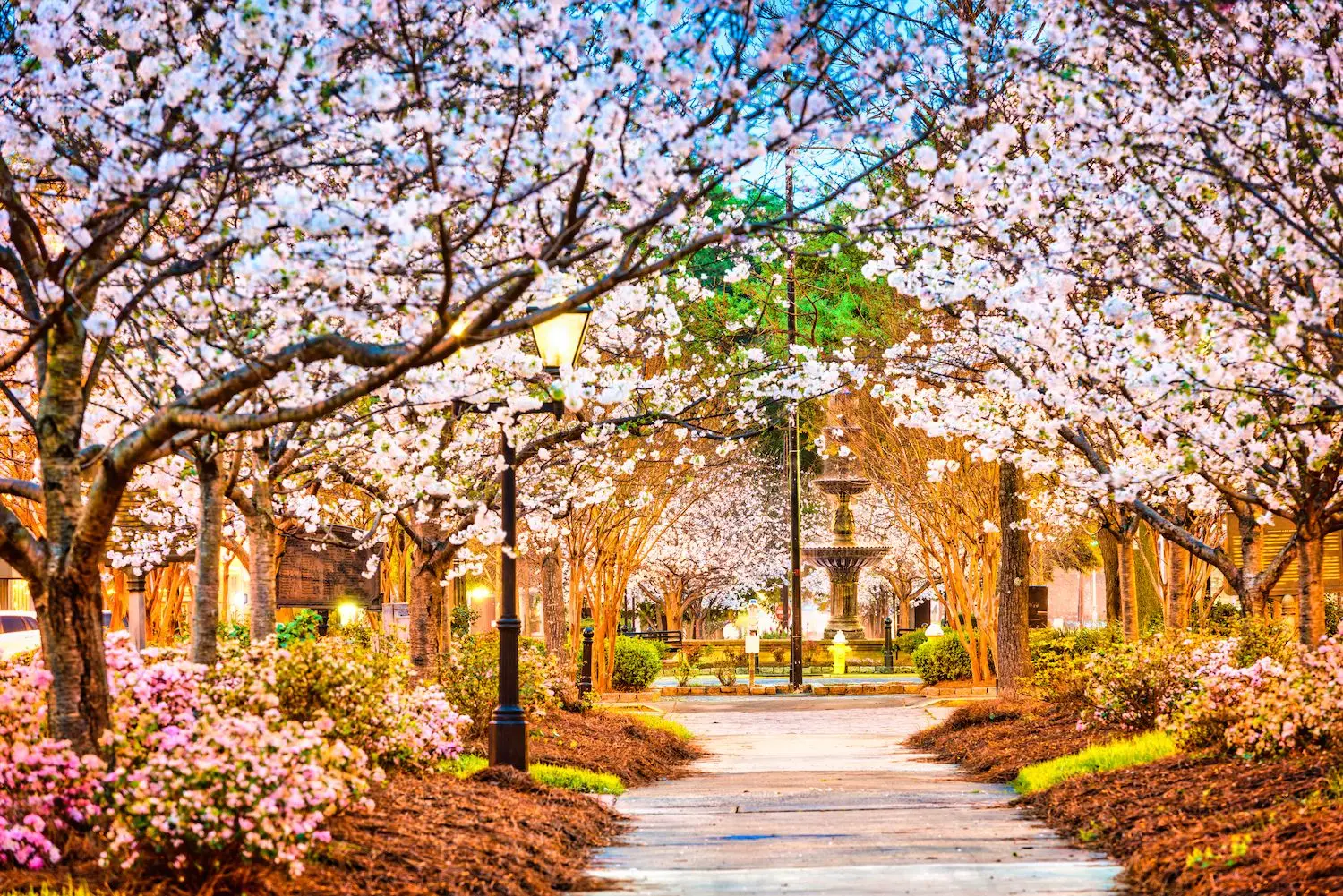 20 Free Things to Do in Macon, GA