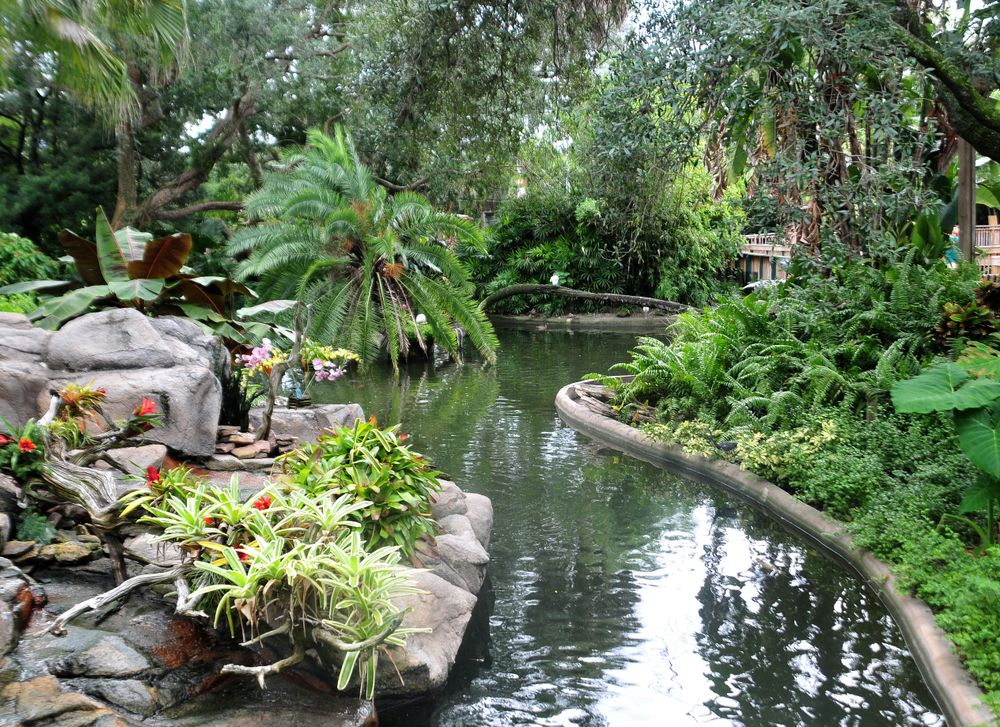 View of Busch Gardens Tampa