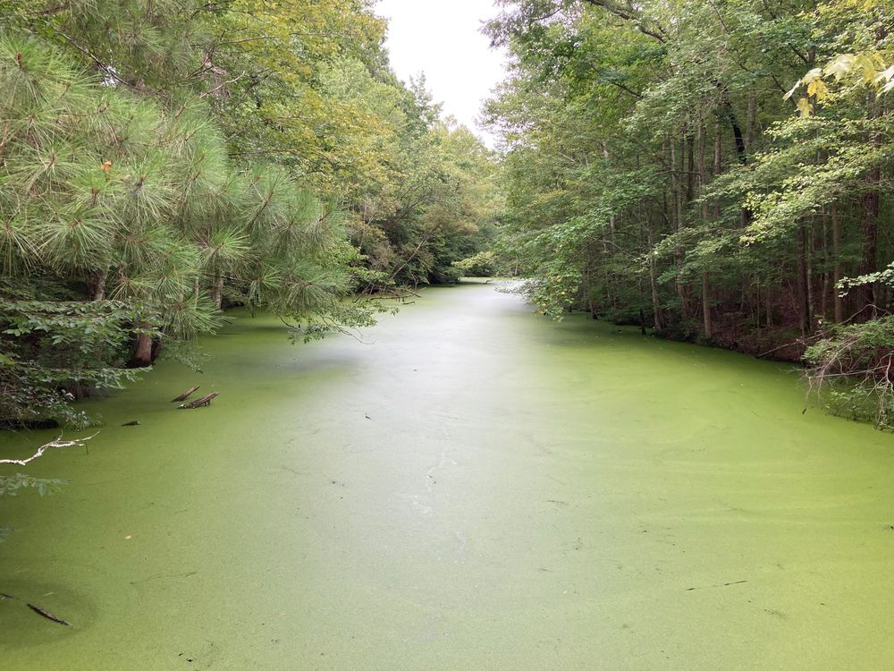 The waters of Northwest River Park and Campground