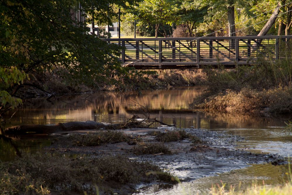 Bridge at Boyd Park