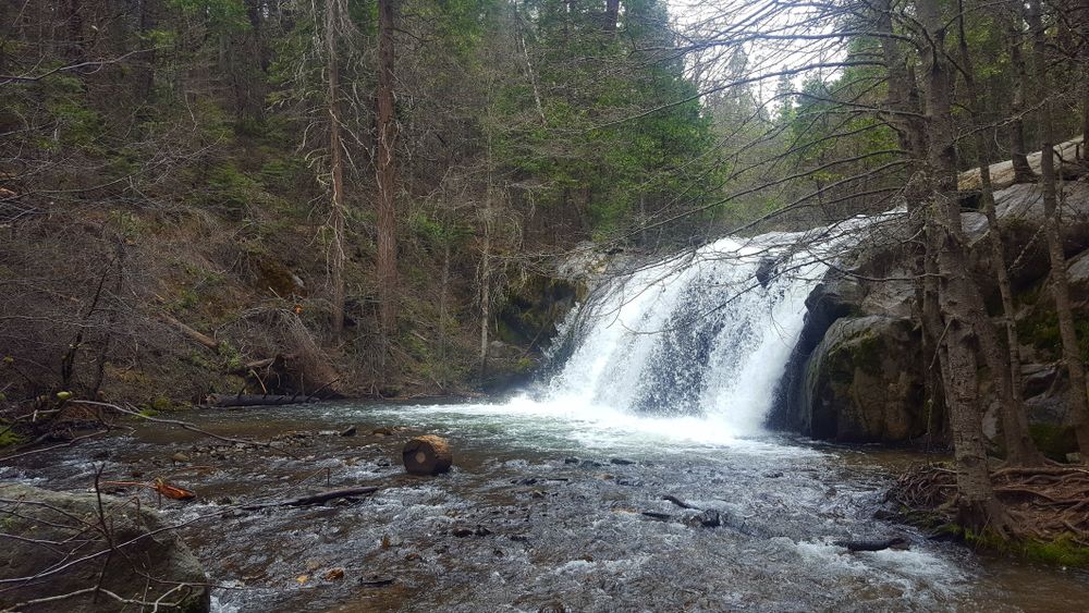View of Lewis Creek Trail