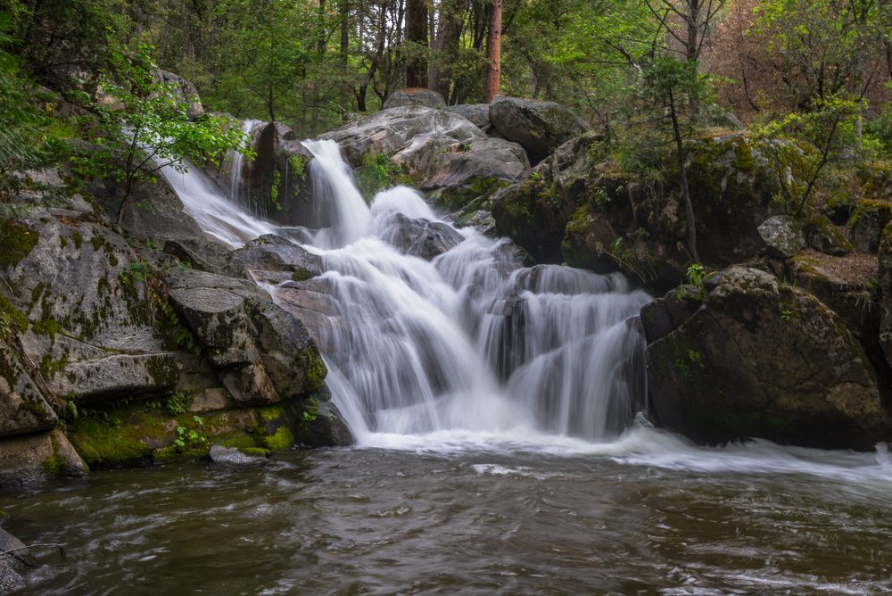 Waterfall at Lewis Creek Trail