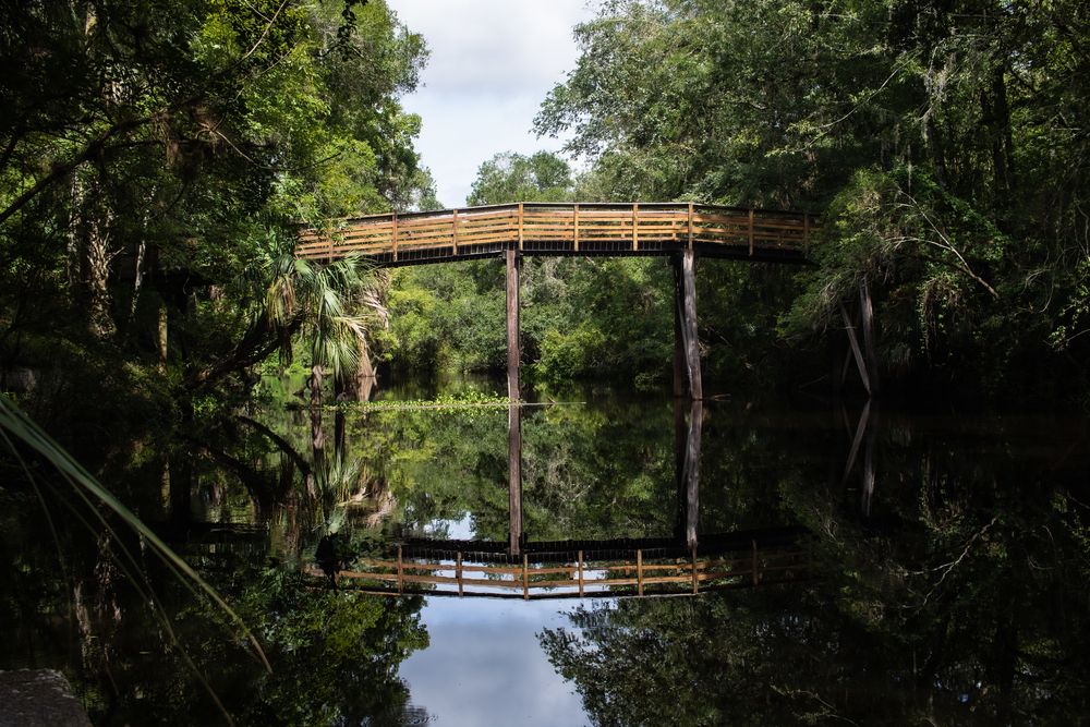 A Bridge in Hillsborough River State Park