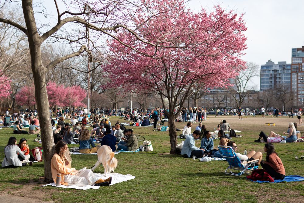 People on the grounds of McCarren Park