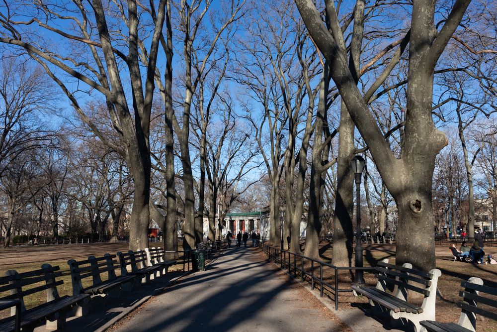 Pathway lined with trees at Monsignor McGolrick Park