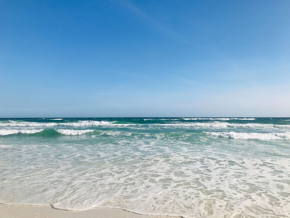 Daytime view of Grayton Beach State Park's beach