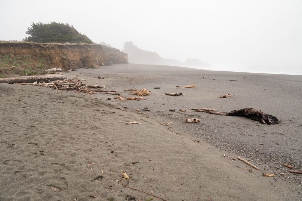Sandy shore of Gualala Point Regional Park