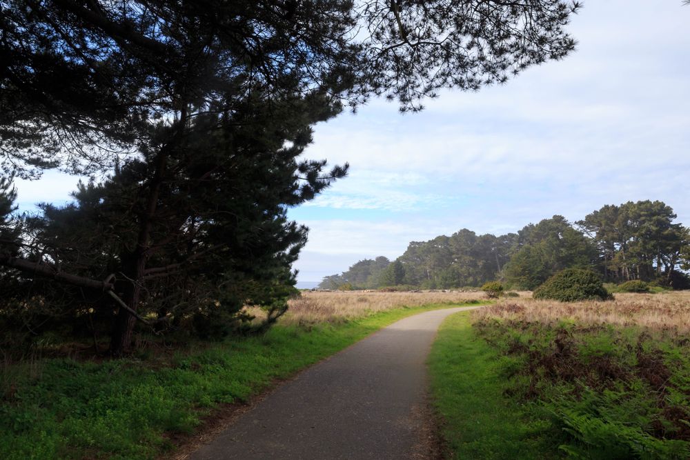 Paved trail lined with grass at Gualala Point Regional Park
