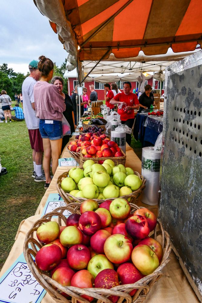 Local fruits for sale at the Annual Goshen Fair