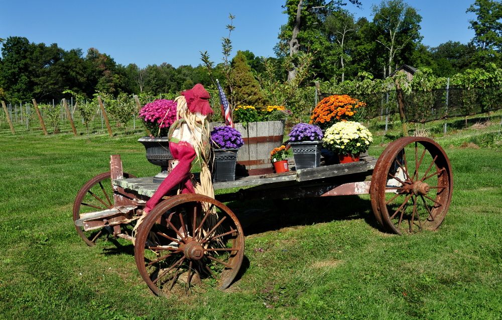 Wagon decorated with flowers at Sunset Meadow Vineyards