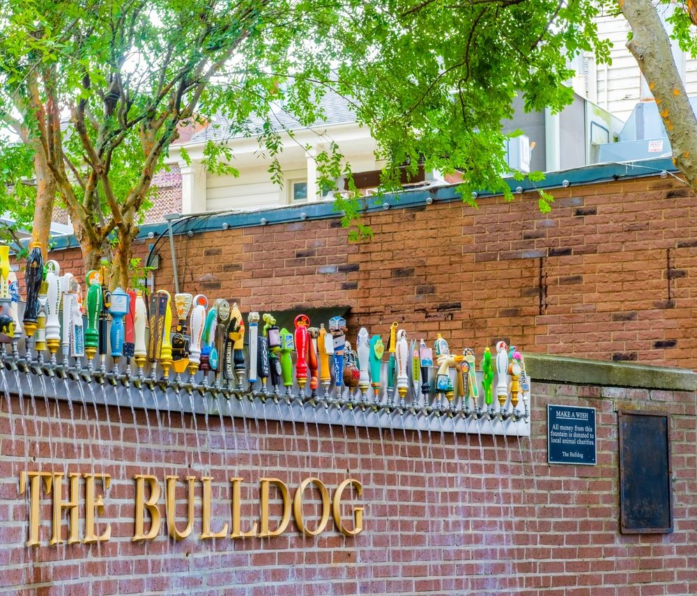 Signage of the Bulldog