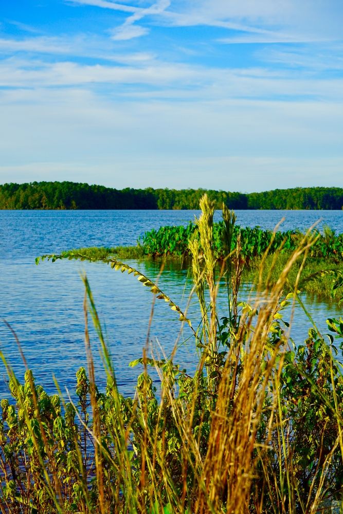 Daytime view of Lake Oconee