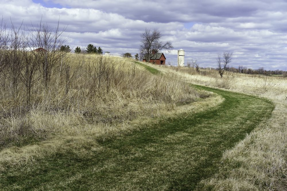 Trail at Peck Farm Park