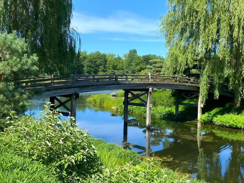 Wooden bridge in Chicago Botanic Garden