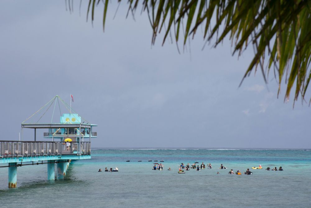 People swimming at Fish Eye Marine Park