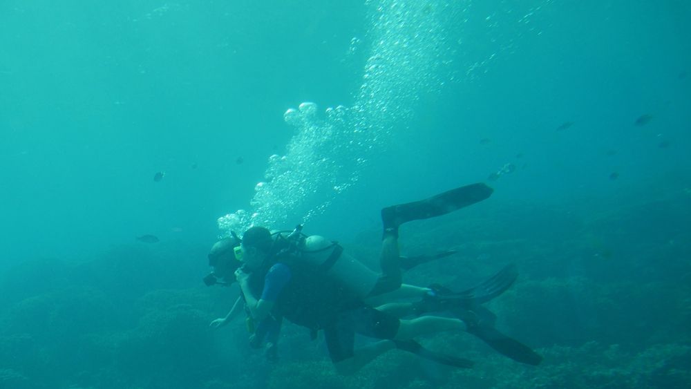Scuba diving at Fish Eye Marine Park