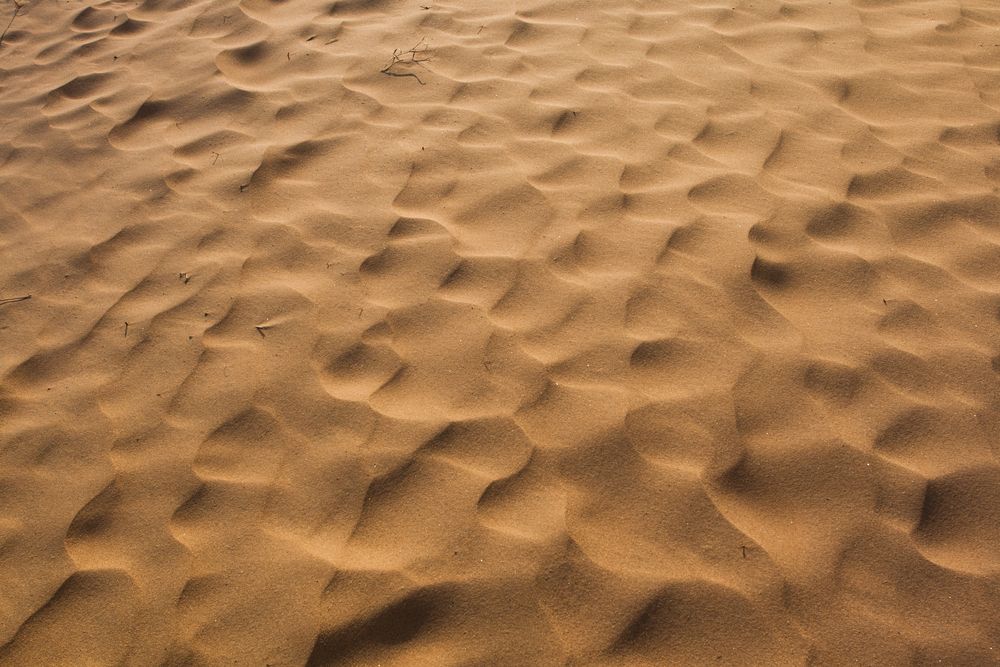Details of Grand Sable Dunes