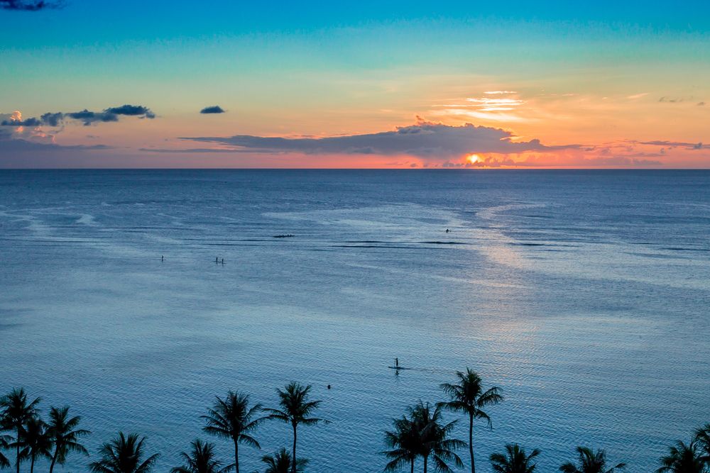 Aerial view of people Paddle boarding in Guam