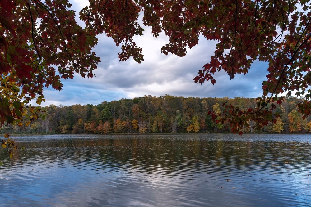 The waters of Seneca Creek State Park