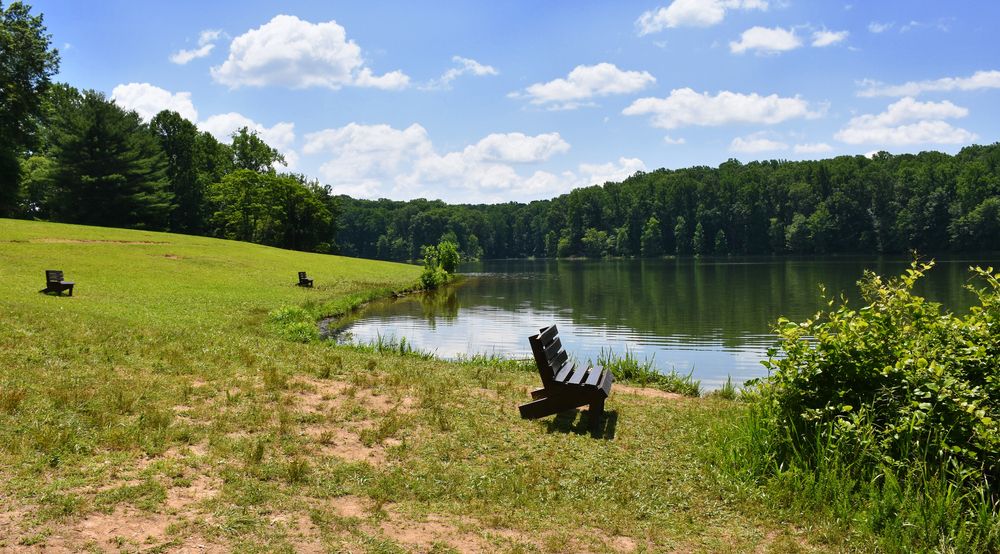 Bench overlooking the waters of Seneca Creek State Park